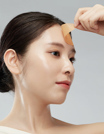 Collagen 100 Melting Sheet