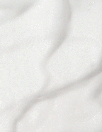 Snow Enzyme Cleanser EX